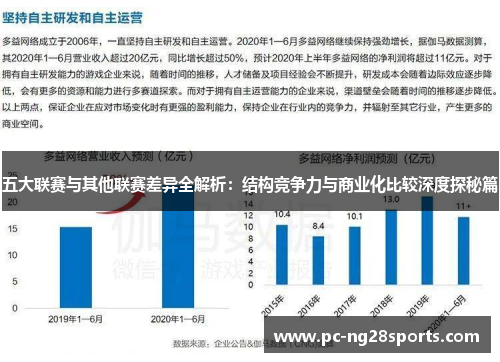五大联赛与其他联赛差异全解析：结构竞争力与商业化比较深度探秘篇