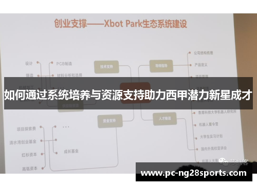 如何通过系统培养与资源支持助力西甲潜力新星成才