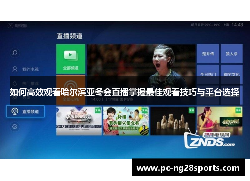如何高效观看哈尔滨亚冬会直播掌握最佳观看技巧与平台选择