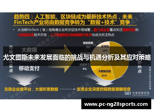 尤文图斯未来发展面临的挑战与机遇分析及其应对策略