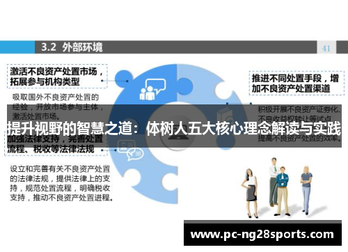 提升视野的智慧之道：体树人五大核心理念解读与实践